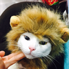   ☀️動物園🥂
