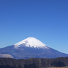 亀