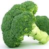 🥦ブロッコリー・陽一🥥💜 🐿️🍊