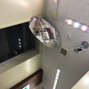 第二形態やすぽん
