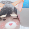 けいと🐋🙈