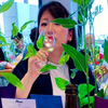 かずまのねーちゃ🔕