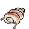 名はコロネ