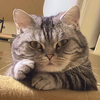 ファネ