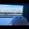 醤油餅