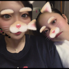 せっちん
