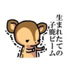 通称 子鹿ちゃん。