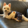 ゆうちゃん.com