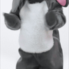 ココナッツ