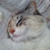 ぶ～くん ∈(´﹏﹏﹏｀)∋