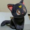 ハワイちくわ