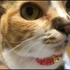 maki