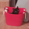 凛
