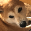 さぶろう
