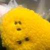 ドラ猫