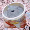 しろ☁️🌸