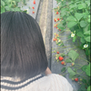 ひめか