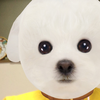 りんごまん