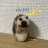 🐱🧀にゃっち🌙✨