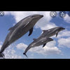👨‍👩‍👧‍👦🐬🍈🐳ファミリー専用