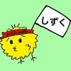 sizuku505