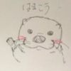 🦈はまこう🦈