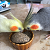 🧸✰ MCR‪‪🐥🌱