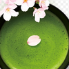 さくら抹茶🌸🍵