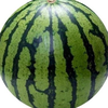 すいか🍉