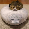 ユーザーアイコン