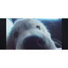 うんぴっ