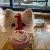 ゆうすけ