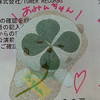 みんと