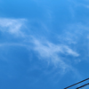 山田悟空