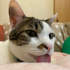 kohei