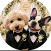 ともパパ 🐶💖️👩 