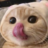 みみみちゃん