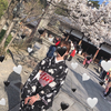 hina