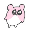 根暗 🐻‍❄💛