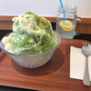 とんとん