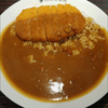 v curry🍛