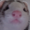おすおすし
