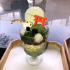 🍵抹茶zzz🧸