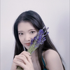 Saho🦋🤷🏻‍♀️🐎