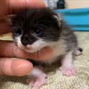 たっちゃん
