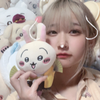 猫猫🐈🐾