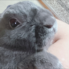 うちゃメロ