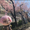 あやか