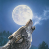 フェンリル十三🐺🎤