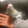  んなこたねえじゃろ